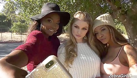 Daya Knight & September Reign & Bunny Colby - Zebra