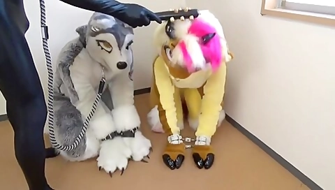 Miraidouga - Two Dogs Are Good Friends !! Shirasu And H